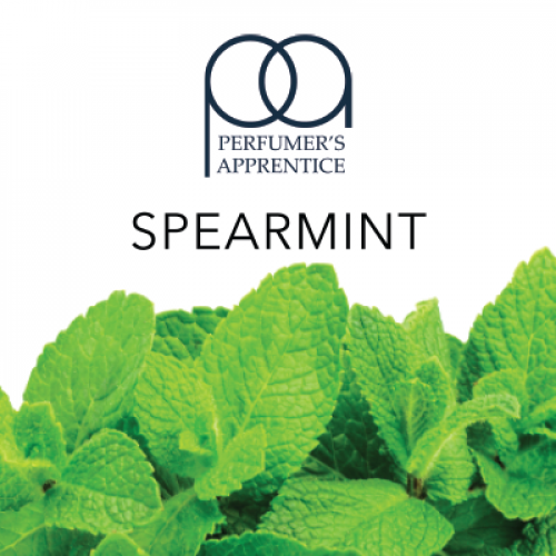 Spearmint - Мята