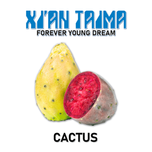 Cactus - Кактус