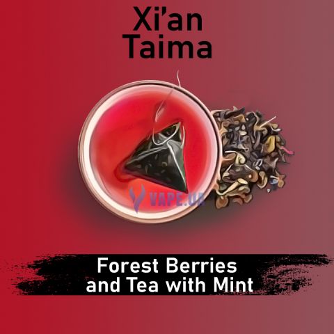 Жидкость Forest Berries and tea with mint