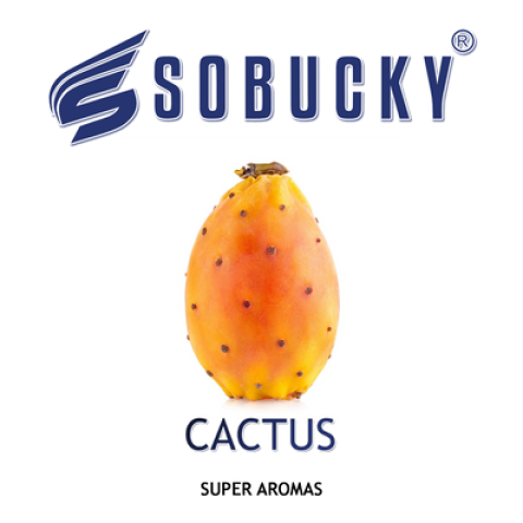 Ароматизатор Sobucky Cactus - Кактус