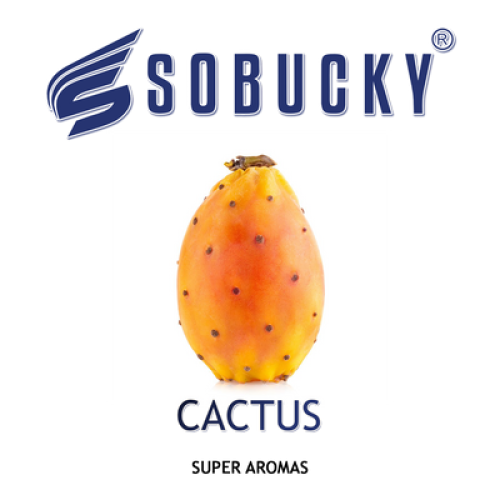 Cactus - Кактус