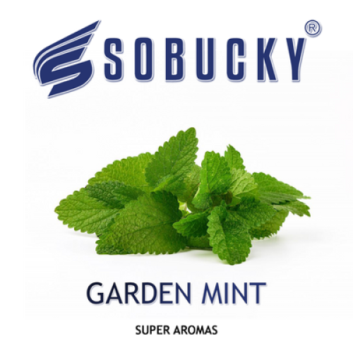 Garden Mint - Садовая мята