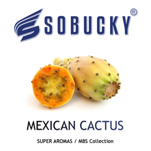 Mexican Cactus (MB) -  Мексиканский кактус